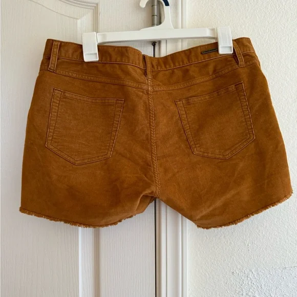 Carve Corduroy Shorts - Picture 2 of 4